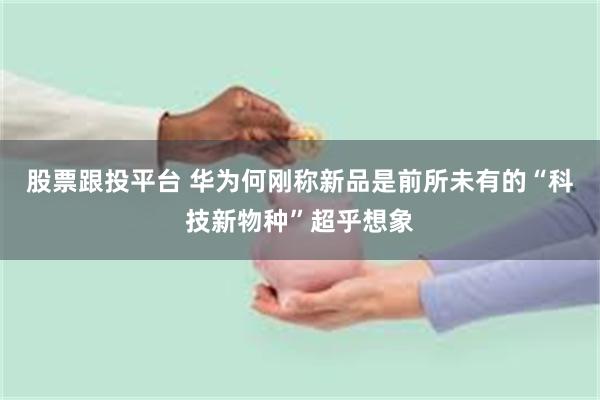 股票跟投平台 华为何刚称新品是前所未有的“科技新物种”超乎想象