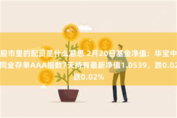 股市里的配资是什么意思 2月20日基金净值：华宝中证同业存单AAA指数7天持有最新净值1.0539，跌0.02%
