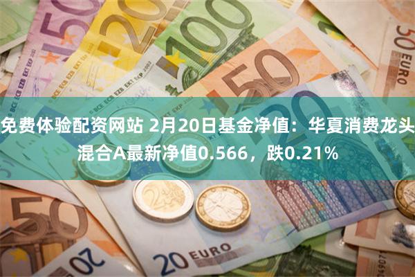 免费体验配资网站 2月20日基金净值：华夏消费龙头混合A最新净值0.566，跌0.21%