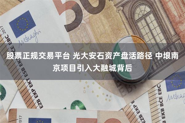 股票正规交易平台 光大安石资产盘活路径 中垠南京项目引入大融城背后