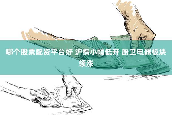 哪个股票配资平台好 沪指小幅低开 厨卫电器板块领涨