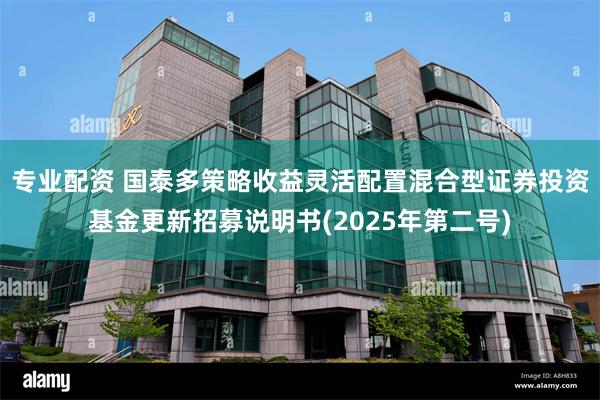专业配资 国泰多策略收益灵活配置混合型证券投资基金更新招募说明书(2025年第二号)