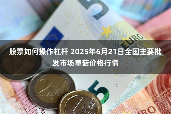 股票如何操作杠杆 2025年6月21日全国主要批发市场草菇价格行情