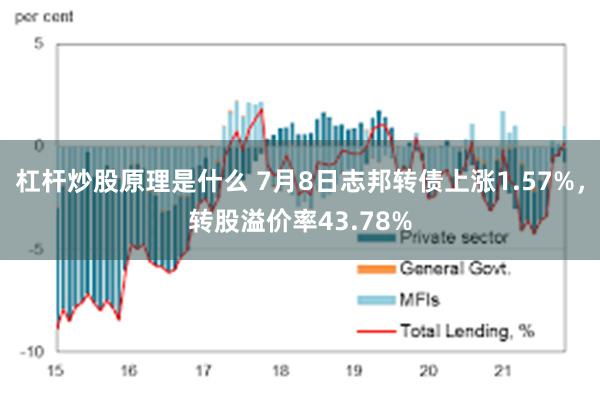 杠杆炒股原理是什么 7月8日志邦转债上涨1.57%，转股溢价率43.78%