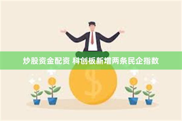 炒股资金配资 科创板新增两条民企指数