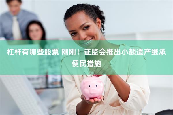 杠杆有哪些股票 刚刚！证监会推出小额遗产继承便民措施