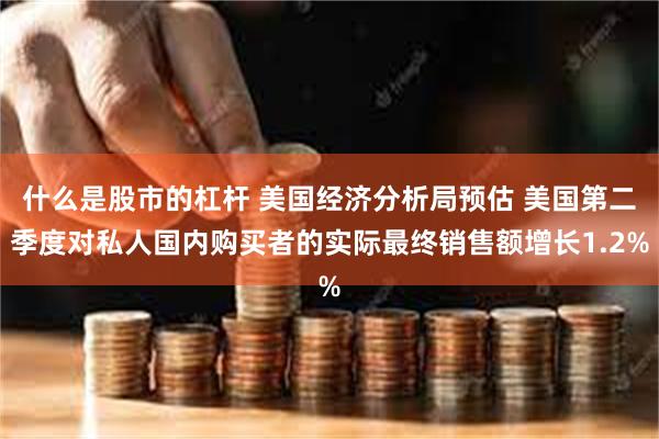 什么是股市的杠杆 美国经济分析局预估 美国第二季度对私人国内购买者的实际最终销售额增长1.2%