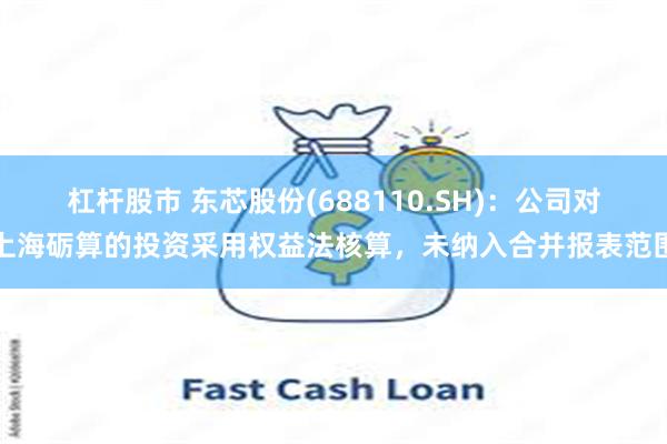 杠杆股市 东芯股份(688110.SH)：公司对上海砺算的投资采用权益法核算，未纳入合并报表范围